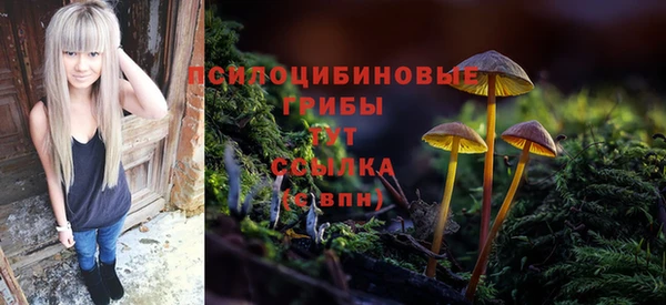 мет Дмитров
