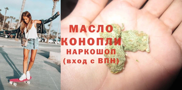 мет Дмитров