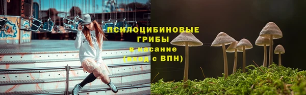 мет Дмитров